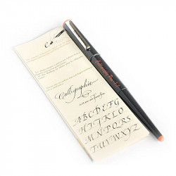 Stylo de calligraphie plume 1,5 mm + 6 cartouches d'encre de couleur